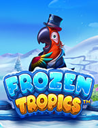 เช่าเว็บพนัน: วิธีสนุกกับสล็อตแบบไม่มีที่สิ้นสุด